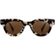 Picture of Tilson Sunglasses Tortoise