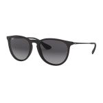 Picture of Ray-Ban Erica Classic